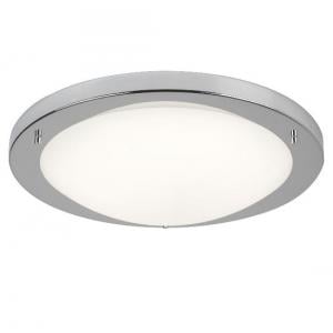 Opal Glass Shape LED Ceiling Lamp in Satin Silver Finish